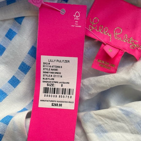 Lilly Pulitzer Sidney Midi Dress Gingham Striped Jacquard Embroidery Blue - Picture 5 of 7